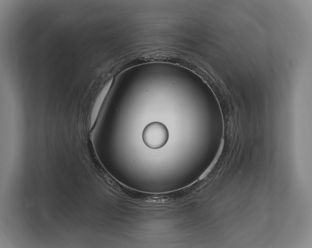 X0000113060701200909041038
