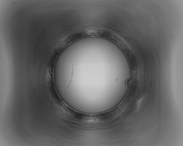 X0000113060702200909041038