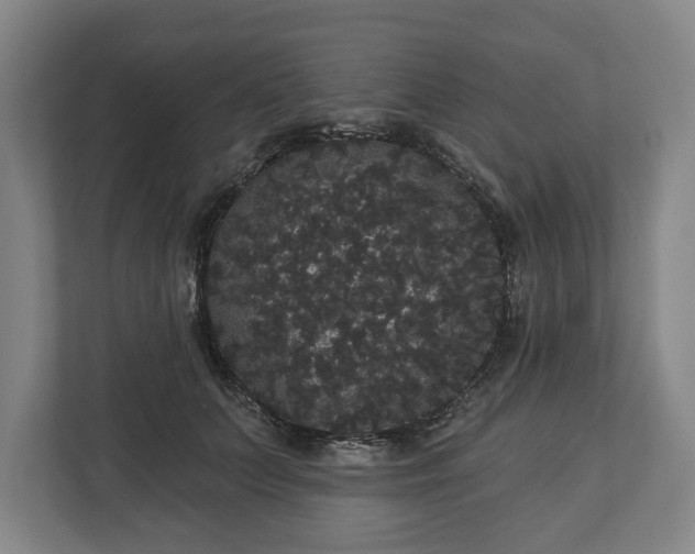 X0000113060703200909041038