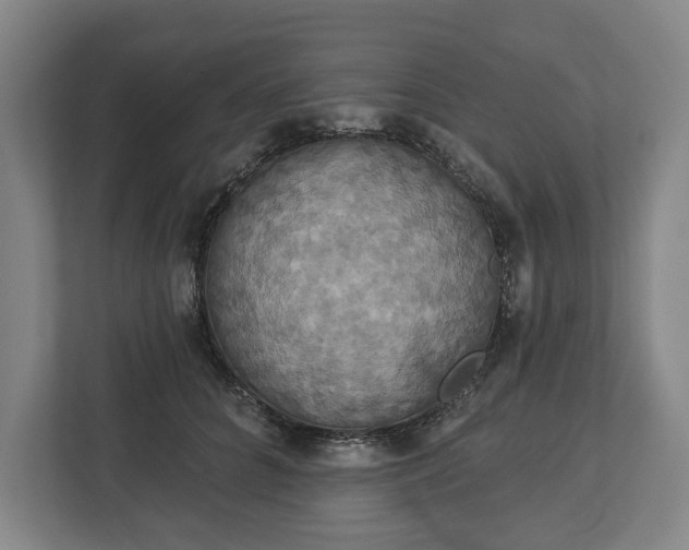 X0000113060704200909041038