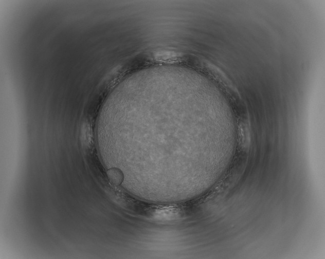 X0000113060705200909041038