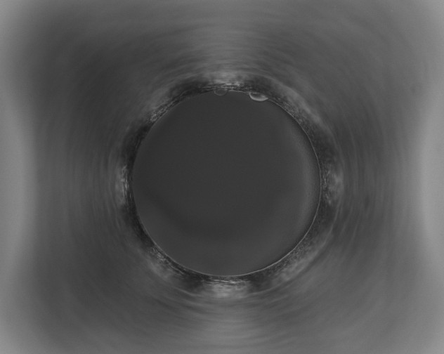 X0000113060707200909041038