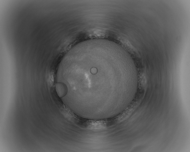 X0000113060709200909041038