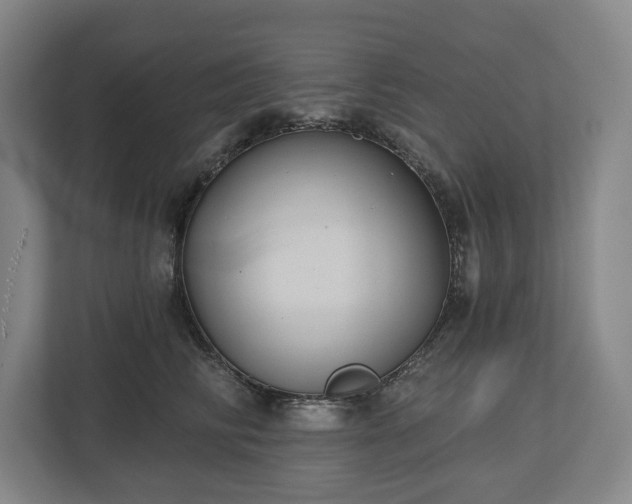 X0000113060710200909041038