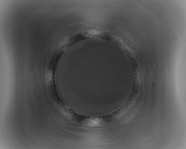 X0000113060711200909041038