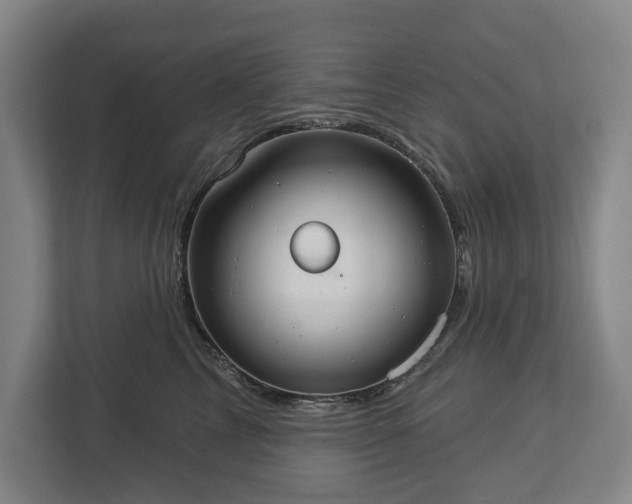 X0000113060713200909041038