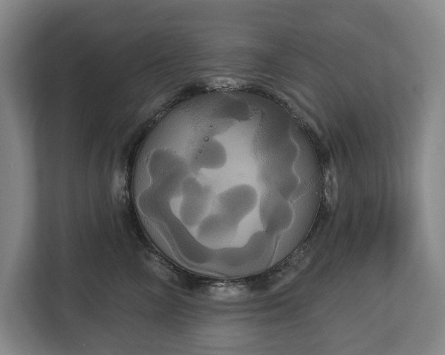 X0000113060714200909041038