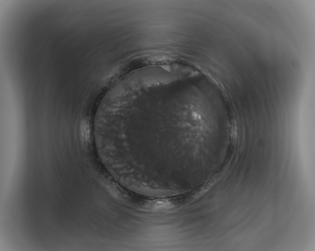 X0000113060715200909041038