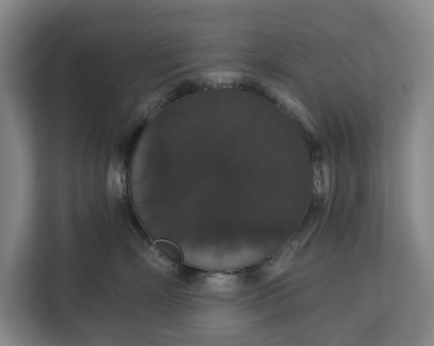X0000113060718200909041038