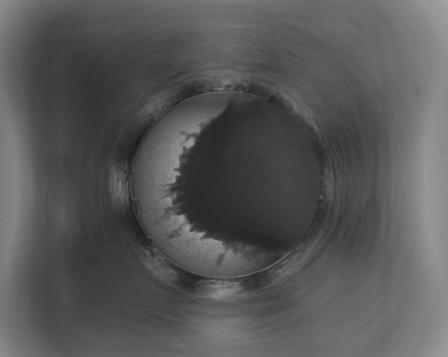X0000113060719200909041038