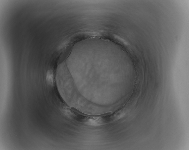 X0000113060720200909041038