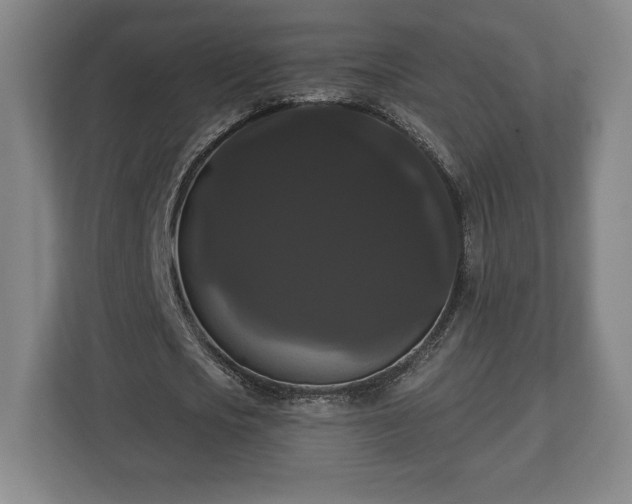 X0000113060721200909041037