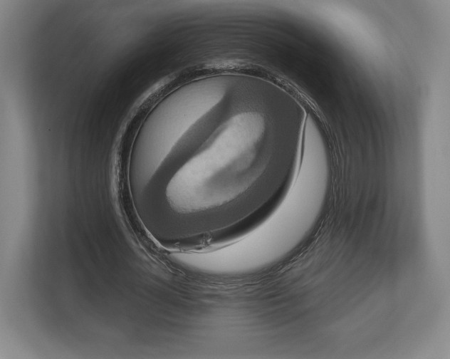 X0000113060724200909041037