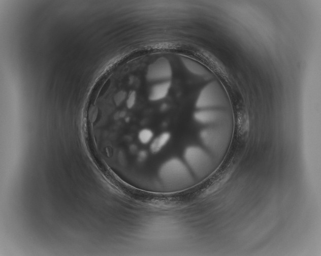 X0000113060725200909041037