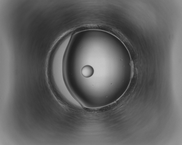X0000113060728200909041037