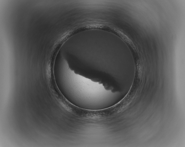 X0000113060729200909041037