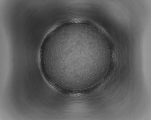 X0000113060730200909041037