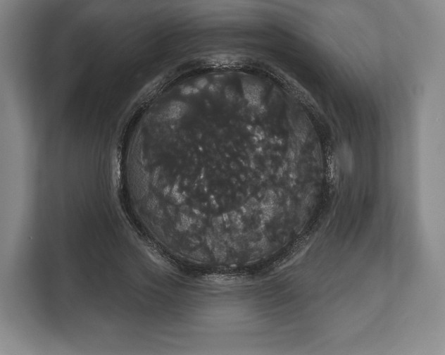 X0000113060733200909041037