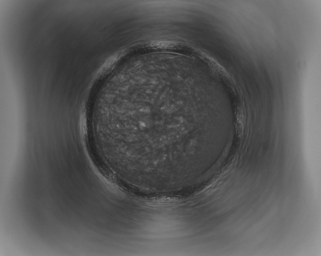 X0000113060734200909041037