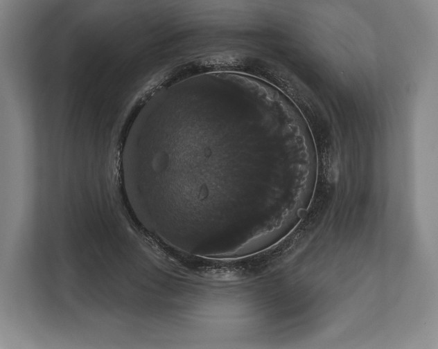 X0000113060735200909041037