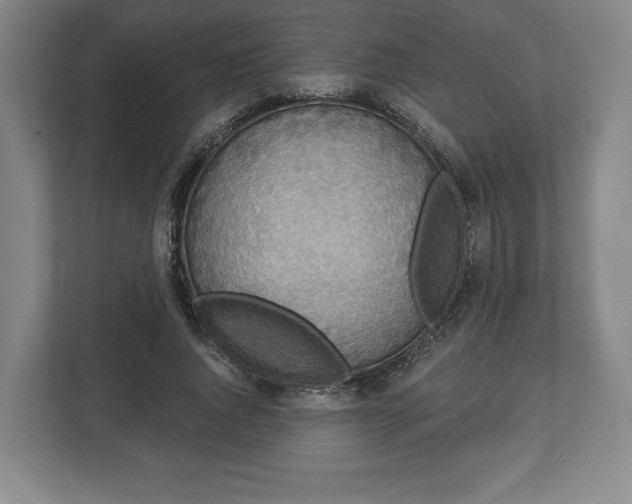 X0000113060736200909041037