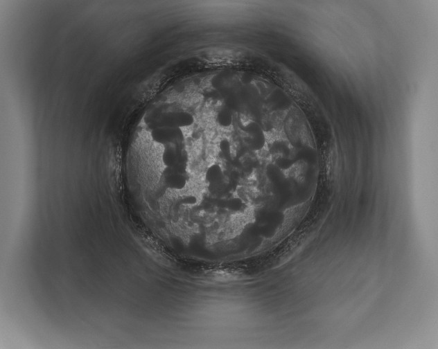 X0000113060737200909041037