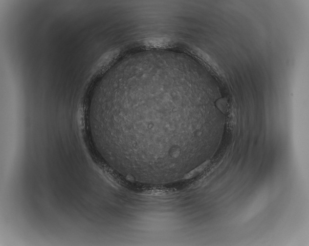 X0000113060738200909041037
