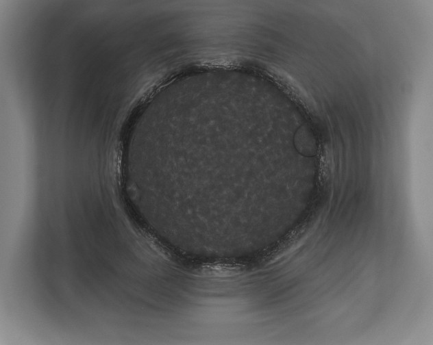 X0000113060739200909041037