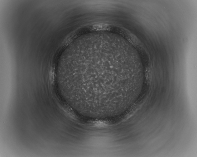 X0000113060741200909041037