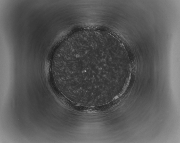 X0000113060742200909041037