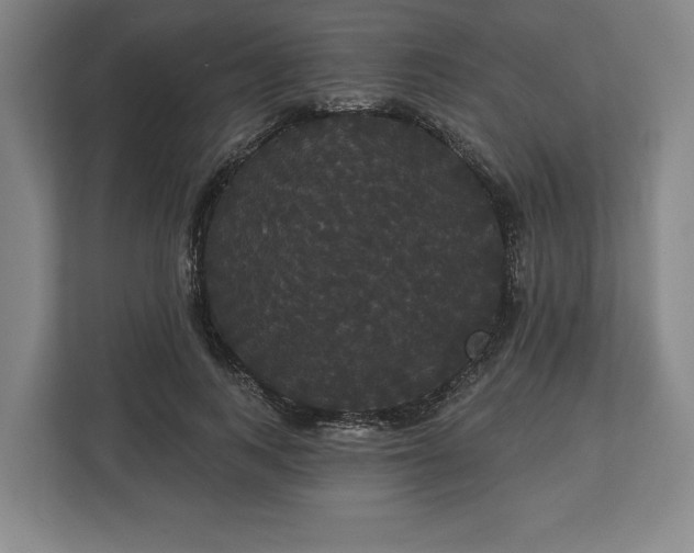 X0000113060743200909041037