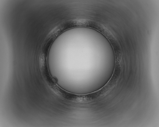 X0000113060744200909041037