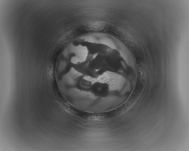 X0000113060745200909041037