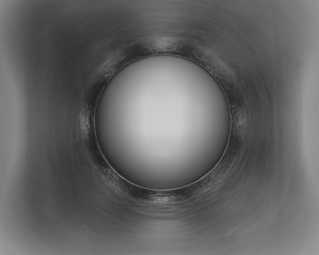 X0000113060746200909041037
