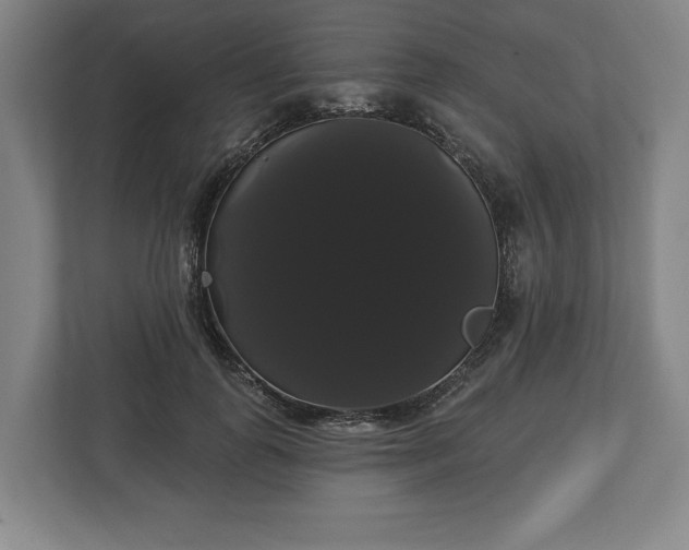 X0000113060747200909041037