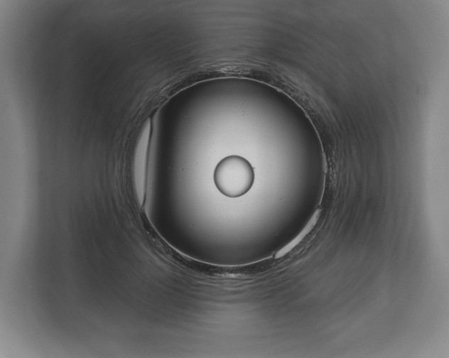 X0000113060748200909041037
