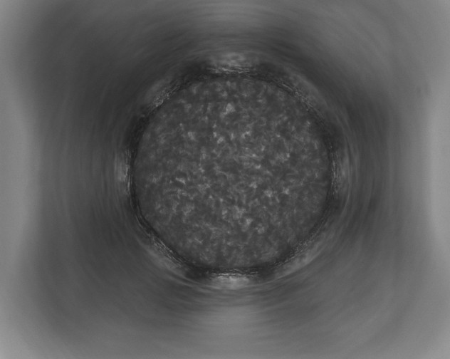 X0000113060749200909041037