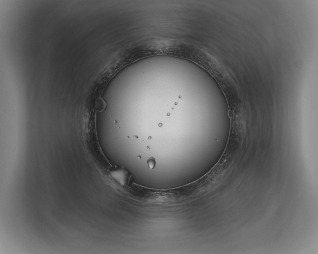 X0000113060750200909041037