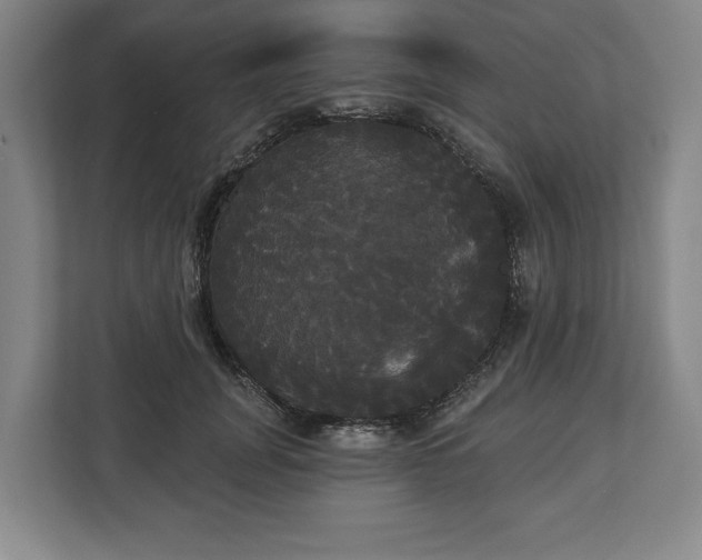 X0000113060751200909041037