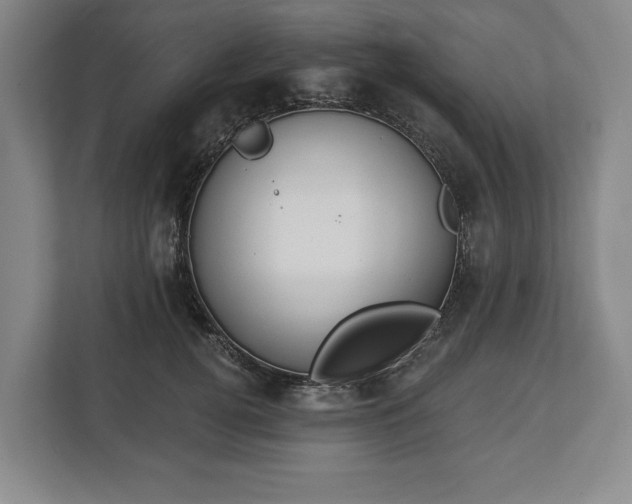 X0000113060752200909041037