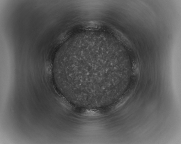X0000113060753200909041037