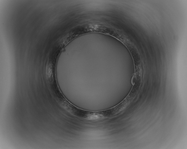 X0000113060754200909041037