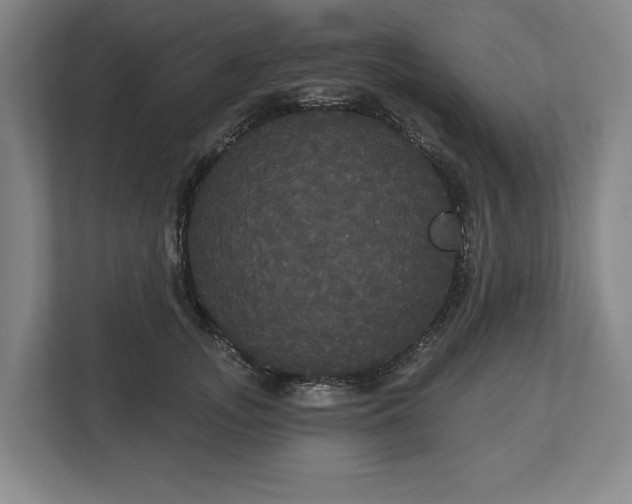 X0000113060755200909041037