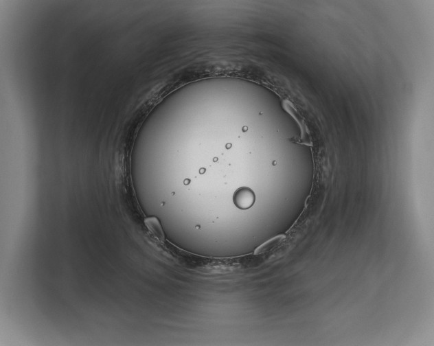 X0000113060756200909041037