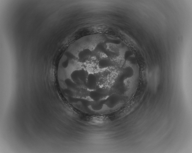 X0000113060757200909041037