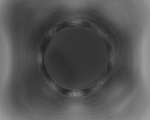 X0000113060758200909041038