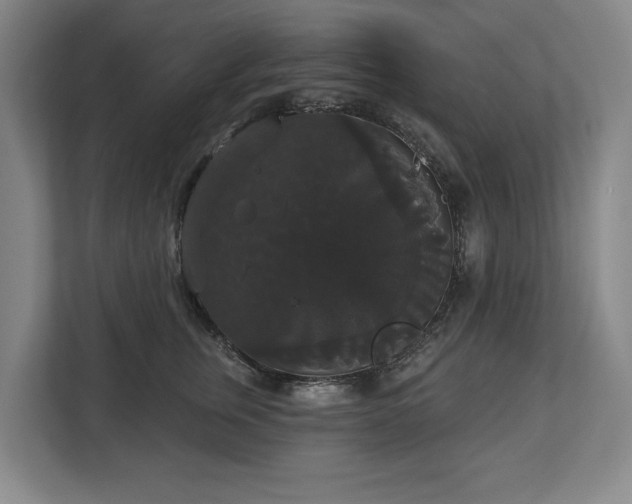 X0000113060759200909041038