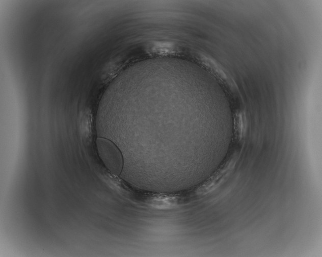 X0000113060760200909041038