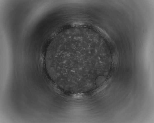 X0000113060761200909041038