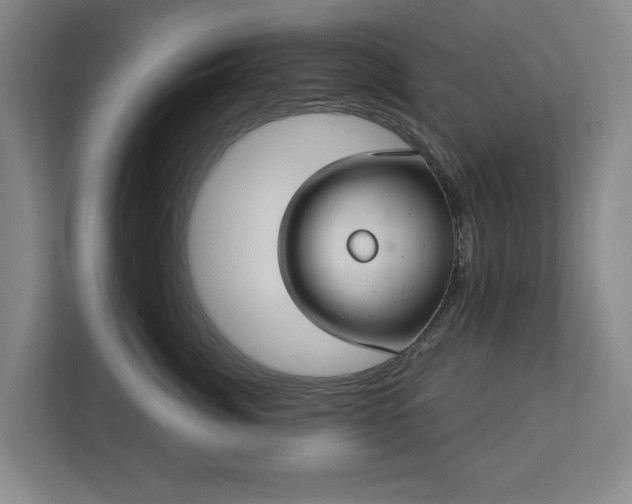 X0000113060764200909041038